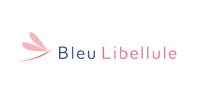 Black Friday Bleu Libellule