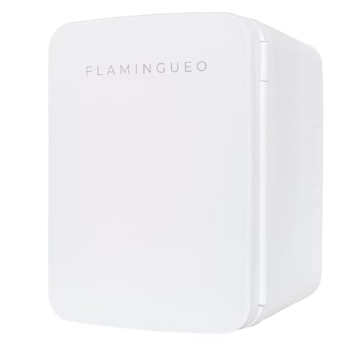 Flamingueo Mini Frigo 10L - Frigo Cosmetique, Petit Frigo 12