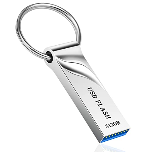 dolrun Clé USB 3.0 512 Go - Métal Cle USB avec Porte-Clés Cl
