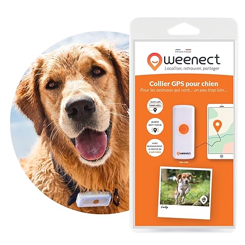 Weenect Dogs 2 - Collier GPS pour Chien | Suivi GPS en Temps