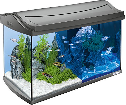 Tetra AquaArt Aquarium en Kit Complet avec LED Blanc 60 L